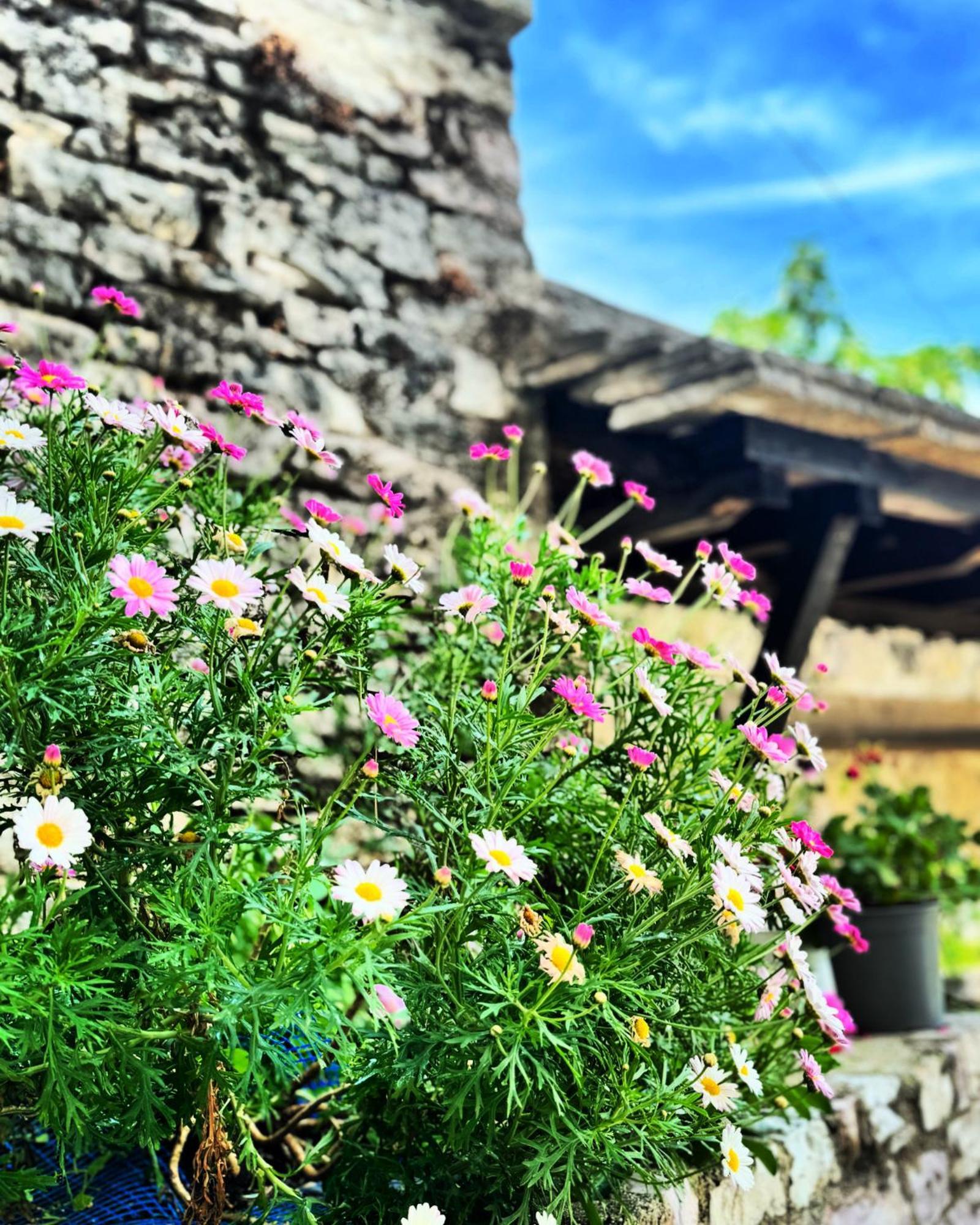 Ferienwohnung Melodia - Harmony Heaven Gjirokastër Exterior foto